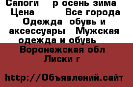 Сапоги 35 р.осень-зима  › Цена ­ 700 - Все города Одежда, обувь и аксессуары » Мужская одежда и обувь   . Воронежская обл.,Лиски г.